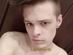 LapkinGray