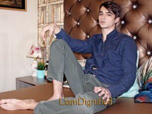 LiamDignified