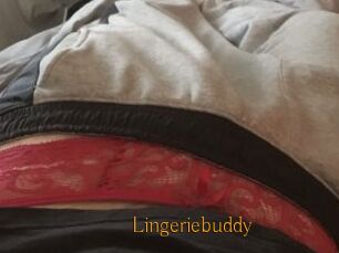 Lingeriebuddy