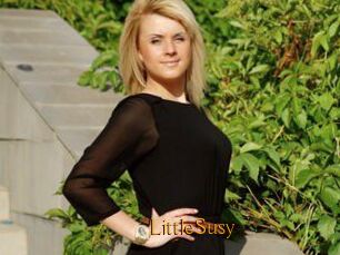 LittleSusy