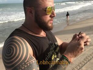 Lobocannabis