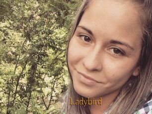 Ladybird