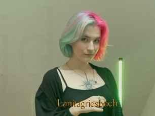 Lanitagriesbach