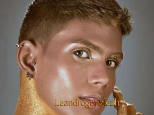 Leandrogonzlezh