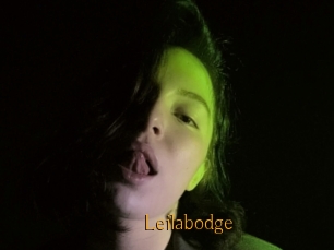 Leilabodge