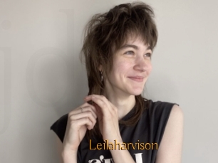 Leilaharvison