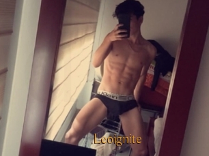 Leoignite