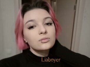 Liaboyer