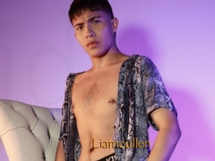 Liamcullen