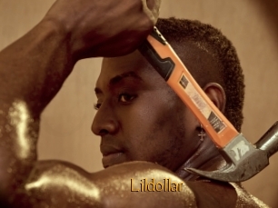 Lildollar