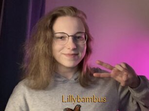 Lillybambus