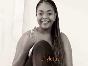 Lillylotus