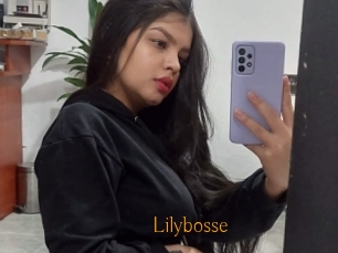 Lilybosse