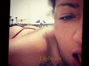 Lilyflower
