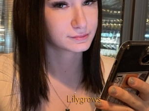 Lilygrows