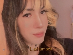 Lisahumbolt