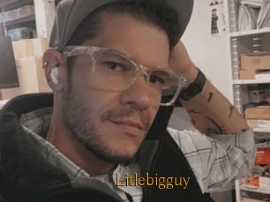 Litlebigguy