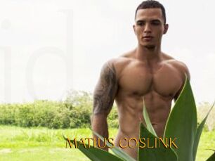 MATIUS_COSLINK