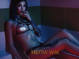 MEOW_Wild