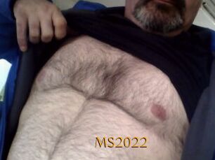 MS2022