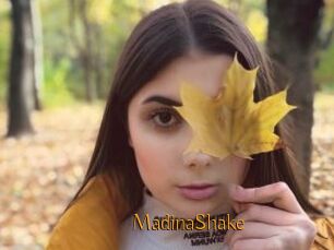 MadinaShake