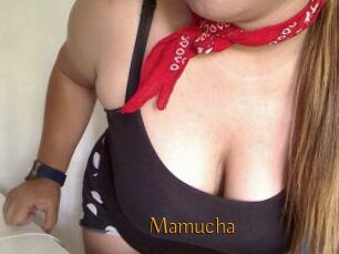 Mamucha