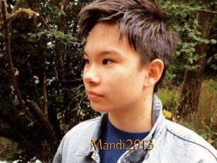 Mandi2013