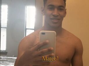 Mateo1