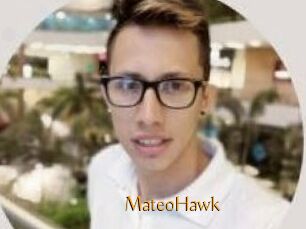 MateoHawk