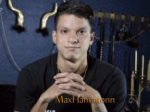 MaxHamintonn
