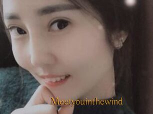 Meetyouinthewind