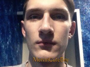 MervinCuteBoy