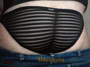 Mikeblevins
