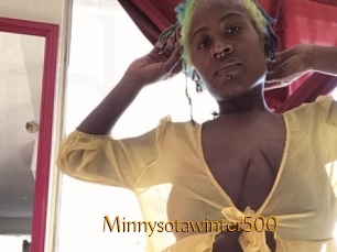 Minnysotawinter500