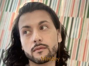 Mintboy