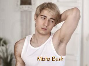 Misha_Bush