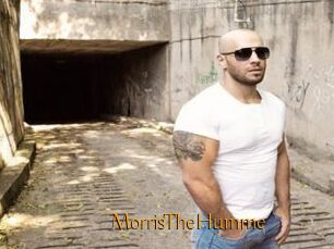 MorrisTheHumme