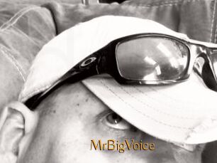 MrBigVoice