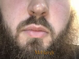 MrHairyJr
