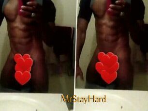MrStayHard