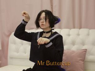 Mr_Buttercup