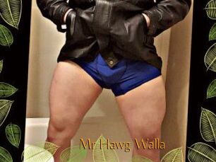 Mr_Hawg_Walla