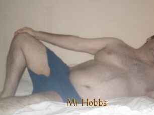 Mr_Hobbs