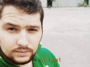 Mr_bear1