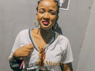 Mteeh