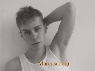 Marcuscobra