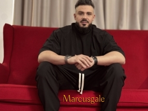 Marcusgale
