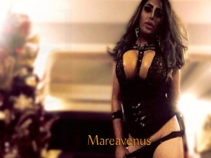 Mareavenus