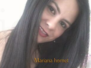 Mariana_hornet