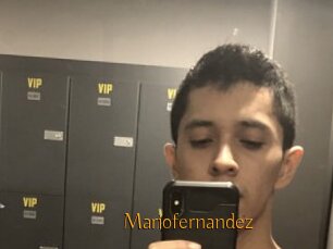 Mariofernandez